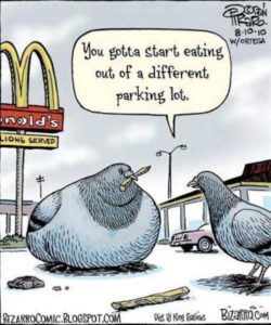 Funny-Fitness-McDs-W630